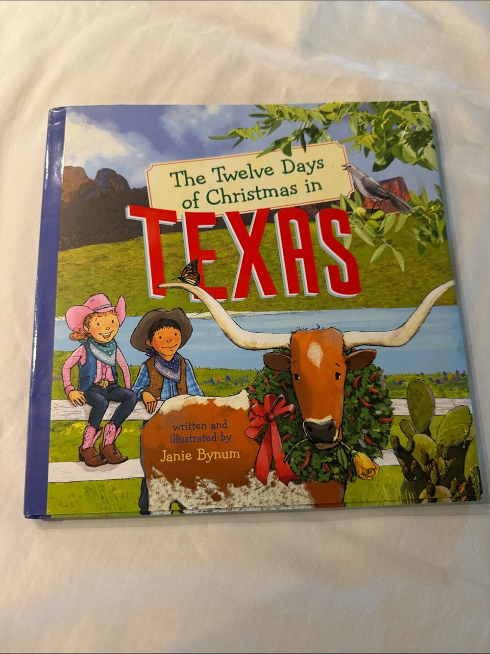 The Twelve Days of Christmas in Texas - Kids Picture Book great illustrations
